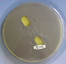 Car Badge Adaptor Self Adhesive