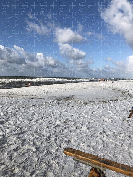 Sunny Day on a Florida Beach - Puzzle