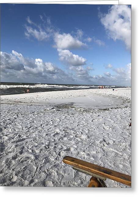 Sunny Day on a Florida Beach - Greeting Card