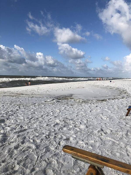 Sunny Day on a Florida Beach - Art Print